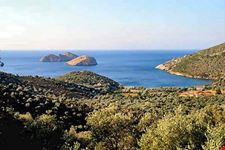 Spiaggia di Logonari, Lesbo