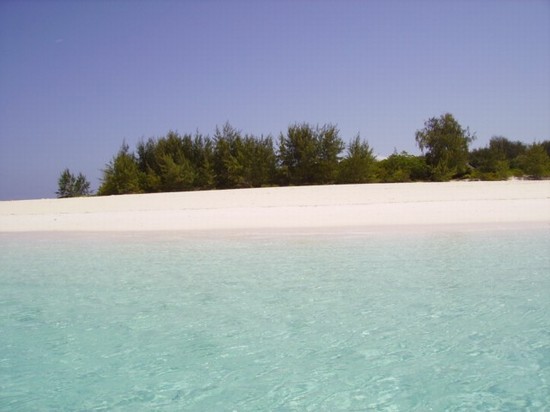 Snorkeling