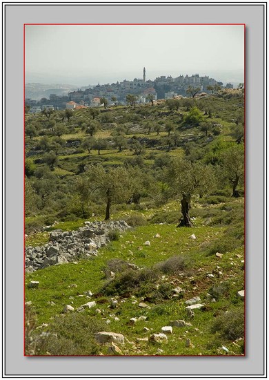 Israele1