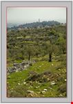 Israele1