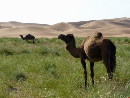  Ouarzazate ALBERTO GREGORI ALBERTO GREGORI