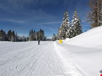 Pista da sci