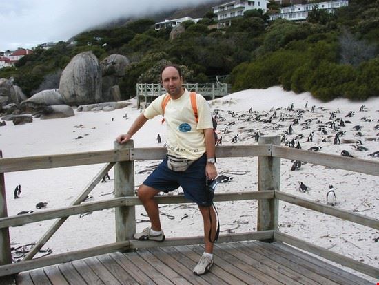 Boulders Beach Cape Town ALBERTO GREGORI ALBERTO GREGORI