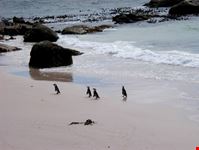 Boulders Beach