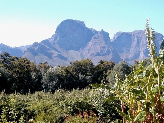  Stellenbosch ALBERTO GREGORI ALBERTO GREGORI
