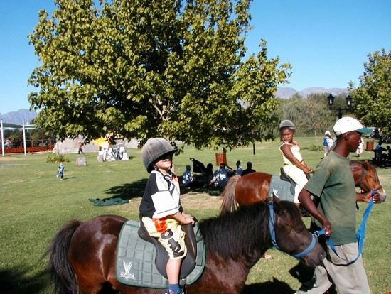  Stellenbosch ALBERTO GREGORI ALBERTO GREGORI
