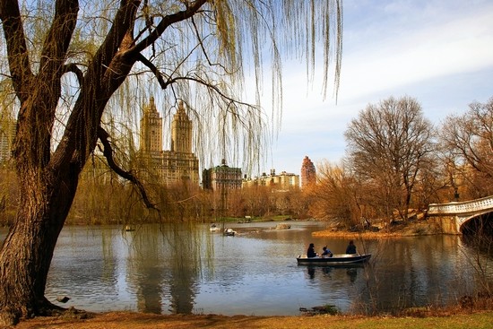 Central Park in autunno