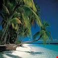 un sogno di isola-antigua un sogno di isola-antigua