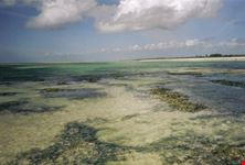 costa di Malindi