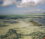 costa di Malindi costa di Malindi