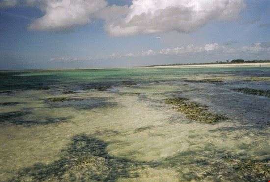 Malindi
