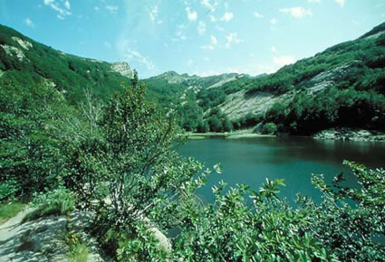 I Lagoni nel Parco dei Cento Laghi