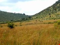 Pilanesber  NP