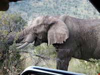 Pilanesber  NP