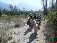 Passeggiata a Cavallo