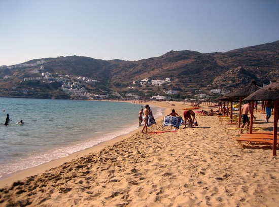 Mylophotas