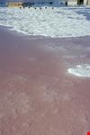 formentera riserva naturale delle saline