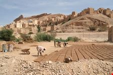 Hadramout2