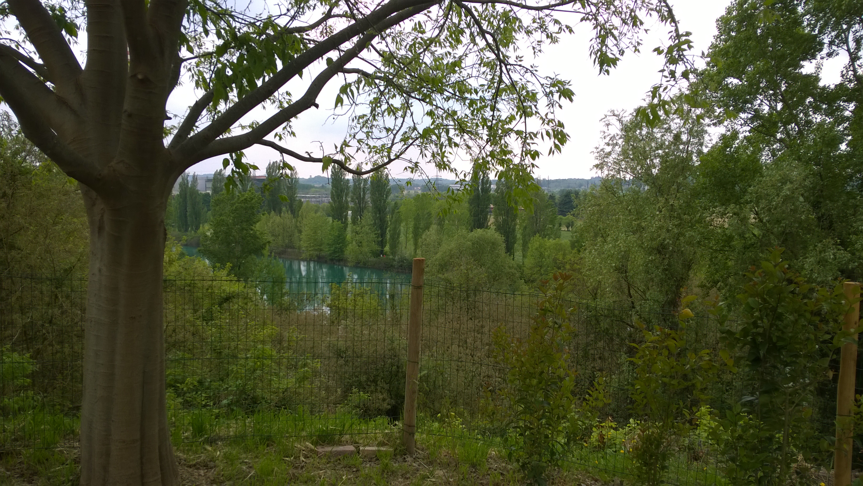 Valle del Mincio