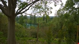 Valle del Mincio
