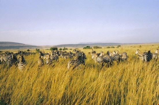 Mombasa