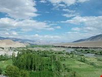 Le vegetazione sulle rive del fiume (© Naida Caira)