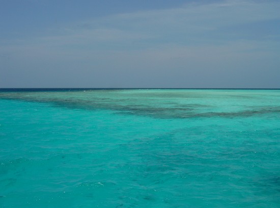 Uscita di snorkeling