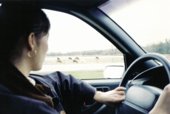 viaggiando sulla main road per Dallas