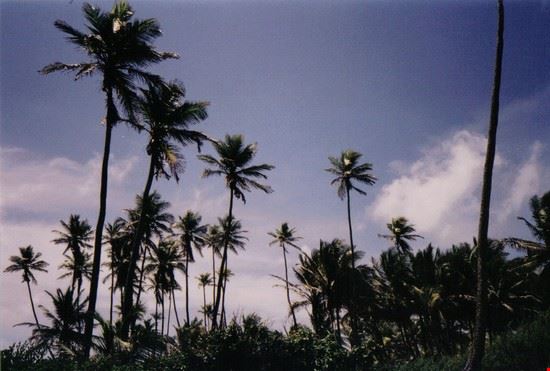 L'Isla di SanAndres - annalisa reversi - annalisa reversi