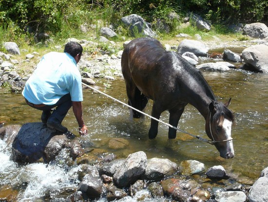 Passeggiata a Cavallo