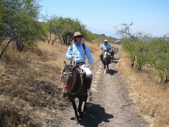 Passeggiata a Cavallo