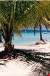 Negril