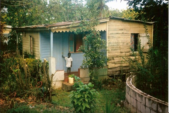 piccolo jamaicano