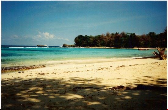  Bellissima spiaggia sulla costa di Port Antonio, barriera corallina e acque verde-azzurre. annalisa reversi annalisa reversi