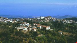 carfizzi