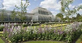 Palm House