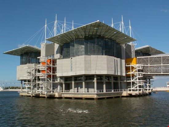 Oceanario Lisbon Helder Gomes - ©Shutterstock Helder Gomes - ©Shutterstock