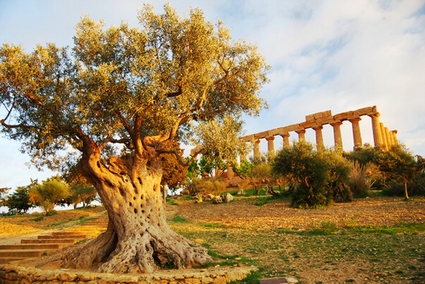Il Tempio di Era