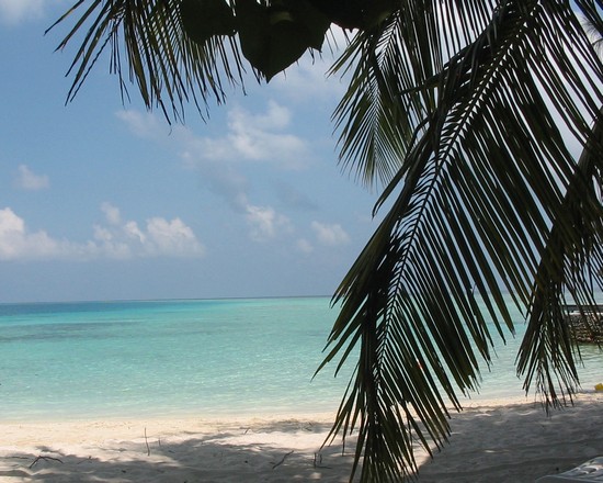 maldive