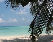maldive