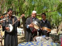 musici
