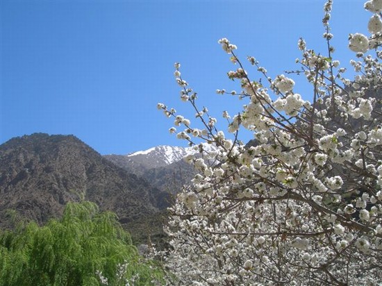 le montagne dell'atlante