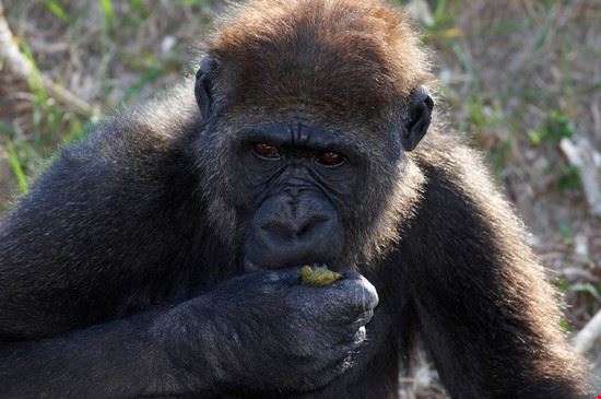  Miami Ryhor M Zasinets - ©Shutterstock Ryhor M Zasinets - ©Shutterstock