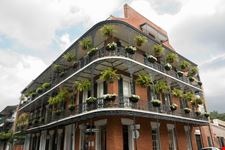 new orleans source pattie steib