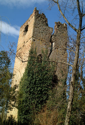 Torre Feudale