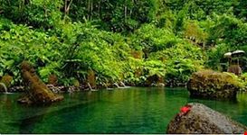 bali 1b