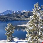 Pike National Forest