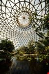 Botanic gardens