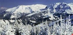 chamonix-mont-blanc mountain excursions in chamonix