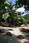 praslin palm beach with rocks